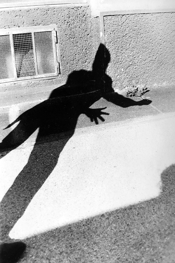 Stehender Schatten greift nach einer Pflanze